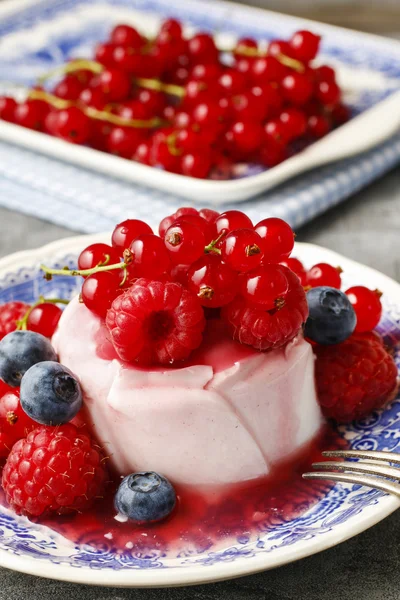 Panna cotta italiensk dessert — Stockfoto