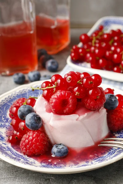 Panna cotta italian dessert — Stock Photo, Image