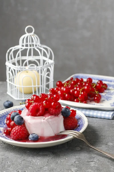 Panna cotta Italiaans dessert — Stockfoto