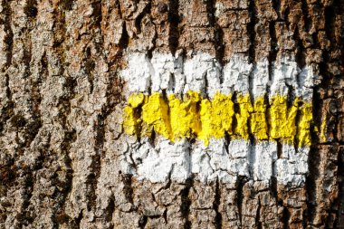 Ağaçta yürüyüş parkurunu işaretlemek. Üç şerit: iki beyaz ve bir sarı. Ormandaki bir ağacın kabuğuna boyanmış. Grafiksel kaynaklar