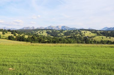 Polonya 'daki Tatra sıradağları. Turistler için tatil yeri