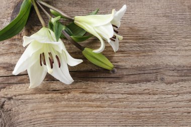 Ahşap arka planda beyaz zambaklar, kopyalama alanı. Grafiksel kaynaklar