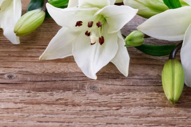 Ahşap arka planda beyaz zambaklar, kopyalama alanı. Grafiksel kaynaklar