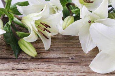 Ahşap arka planda beyaz zambaklar, kopyalama alanı. Grafiksel kaynaklar