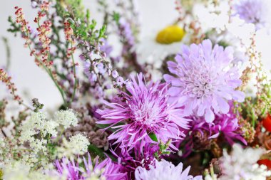 Meadowsweet, devedikeni, astransiyası ve fundalığı olan hoş bir çiçek geçmişi var. Grafiksel kaynaklar