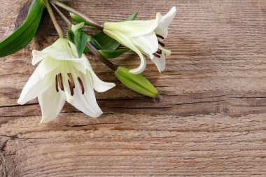 Ahşap arka planda beyaz zambaklar, kopyalama alanı. Grafiksel kaynaklar