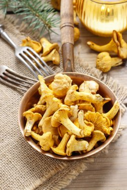 Cantharellus cibarius bilinen cantharellus cibarius