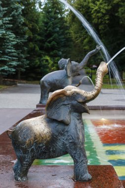  Çeşme sağlık res ana binanın önünde Filler ile