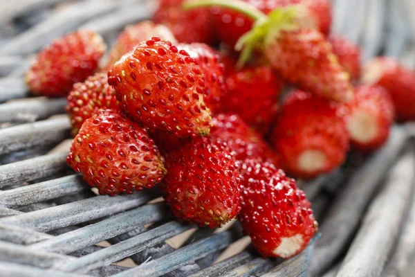 Wilde aardbeien vruchten — Stockfoto