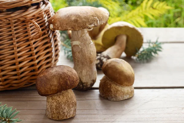 Champignons op een houten tafel — Stockfoto