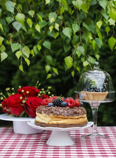 Чизкейк с шоколадной начинкой украшен летними фруктами — стоковое фото