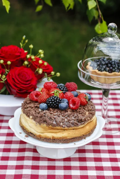 Чизкейк с шоколадной начинкой украшен летними фруктами — стоковое фото