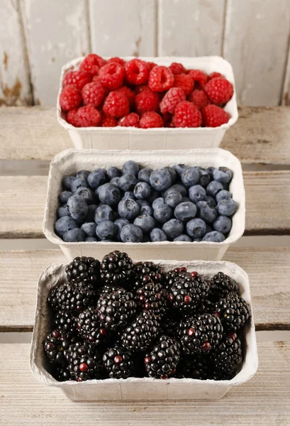 Raspberries, blueberries and blackberries in carton boxes — Stock Photo, Image