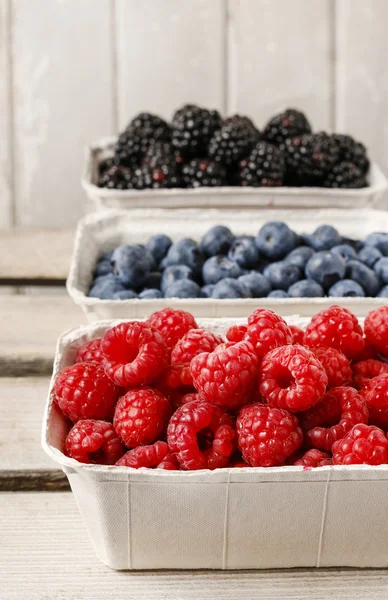 Raspberries, blueberries and blackberries in carton boxes — Stock Photo, Image