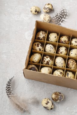 Bıldırcın yumurta kutusu