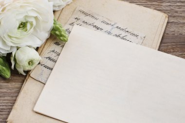 Vintage harf ve wo üzerinde Farsça düğün çiçeği çiçek (tipik)