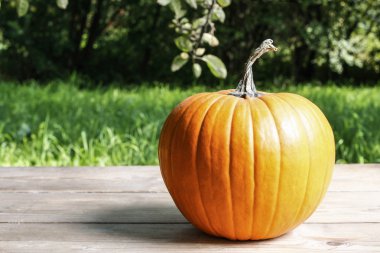 Kabaklar bahçedeki ahşap tablo