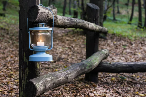 Beautiful lantern in autumn forest — Stock Photo, Image