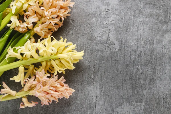 Žluté a oranžové květy Hyacint na dřevěné pozadí — Stock fotografie