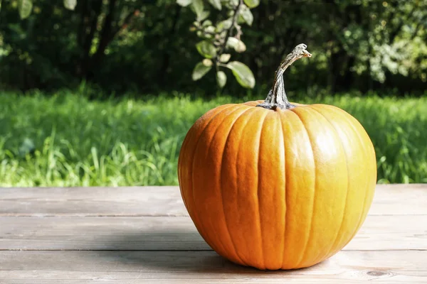 Kabaklar bahçedeki ahşap tablo