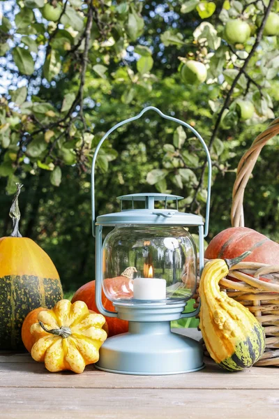 Linterna y calabazas sobre mesa de madera — Foto de Stock