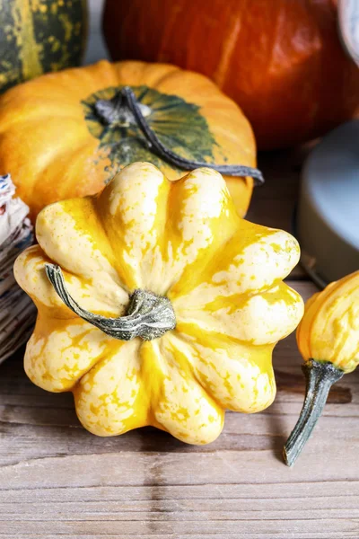 Citrouilles sur table en bois dans le jardin — Photo