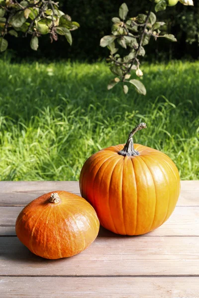 Zucche sul tavolo di legno in giardino — Foto Stock