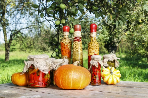 Pumpkins and colorful pickled vegetables in preserving glass — Stock Photo, Image