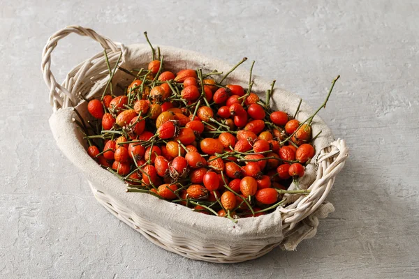 Cesta de frutas de rosa mosqueta — Foto de Stock