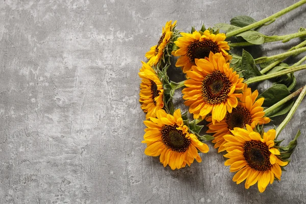 Sunflowers on a gray stone background — Stock Photo, Image