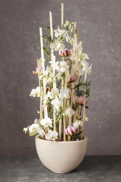 蘭の花と牡丹の花のアレンジメント — ストック写真