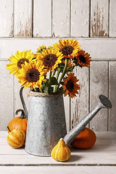 Sunflowers in watering can and colorful pumpkins on a wooden tab — Stock Photo, Image