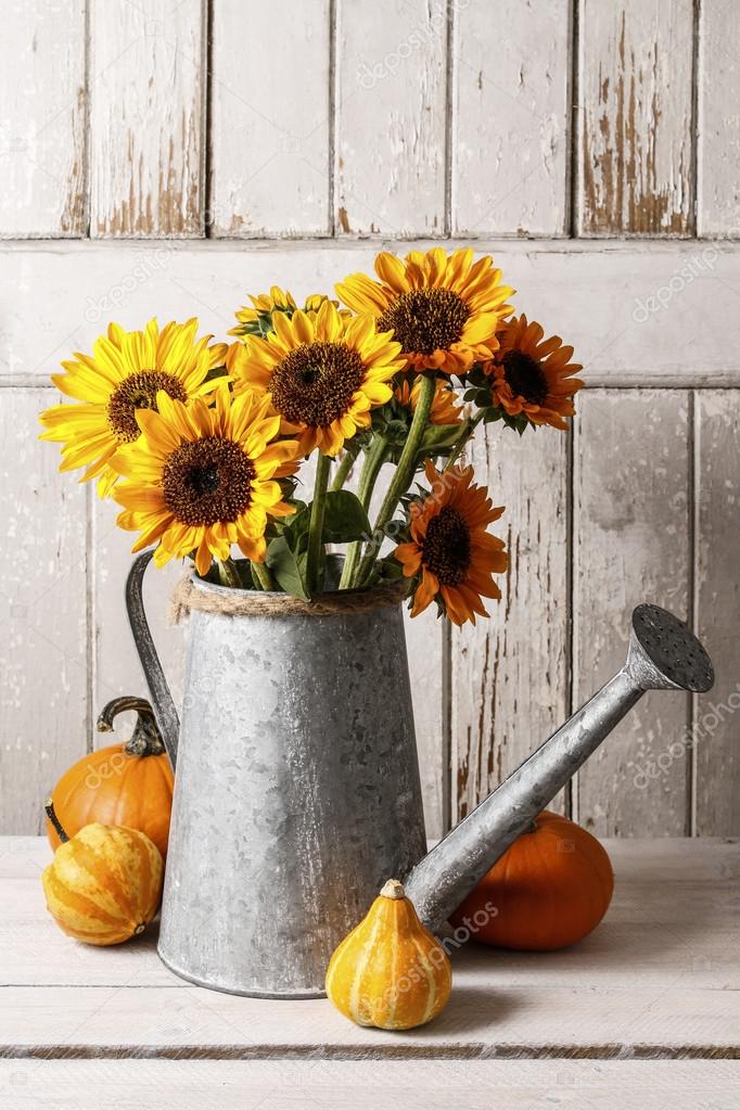 Sunflowers in watering can and colorful pumpkins on a wooden tab