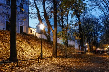 gece sonbahar avenue