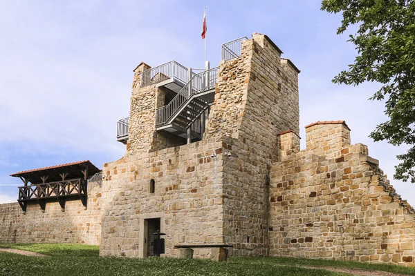 Rovine di un castello medievale a Dobczyce, Polonia . — Foto Stock