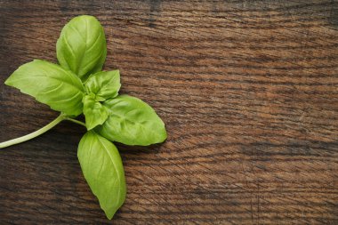 Ahşap arka planda fesleğen yaprakları