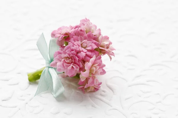 Beautiful tiny bouquet of pink kalanchoe blossfeldiana flowers a — Stock Photo, Image