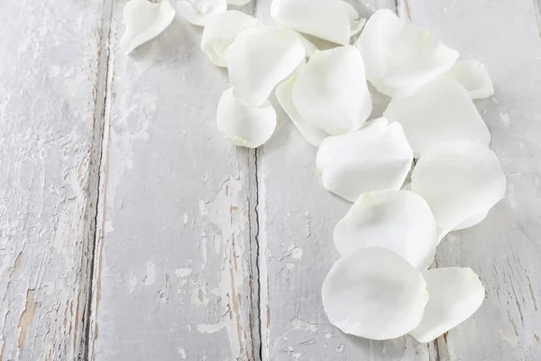 Pétalos de rosa blanca sobre un fondo rústico de madera — Foto de Stock