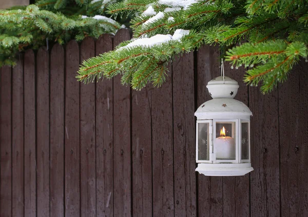 Decorazioni natalizie nel giardino d'inverno — Foto Stock