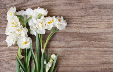 White narcissus flowers on wood