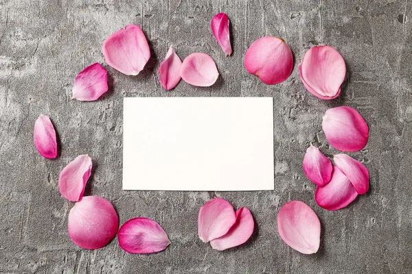 Scheda bianca tra petali di rosa su sfondo grigio in pietra — Foto Stock