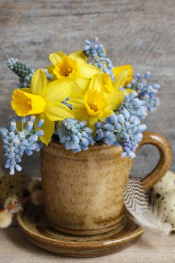 Nergis ve mavi muscari (üzüm sümbül buket)