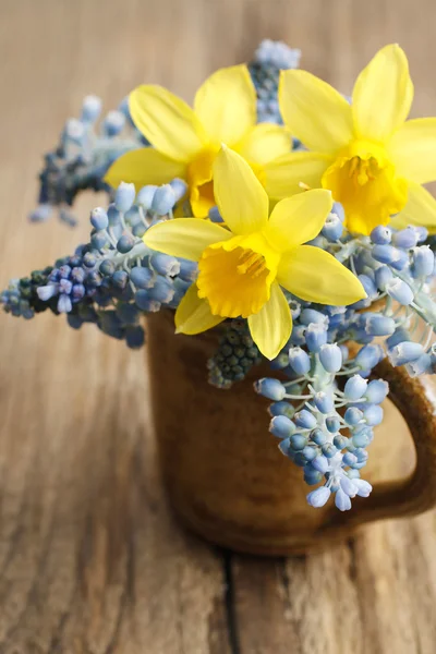 Buquê de narcisos e muscari azul (jacinto de uva ) — Fotografia de Stock