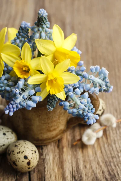 Bouquet van narcissen en blauwe muscari (druivenmost hyacint) — Stockfoto