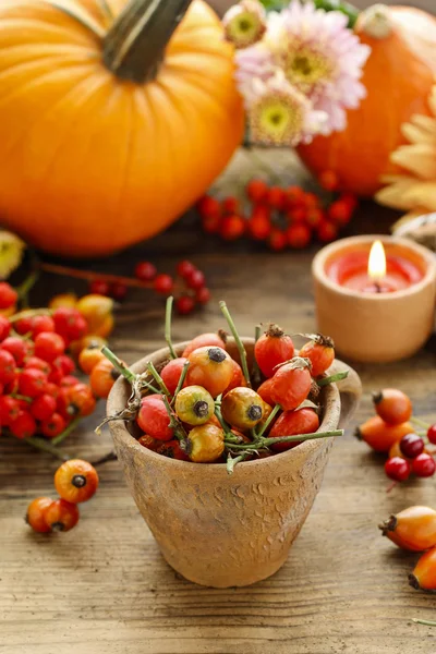 Pot of rose hip, flowers and pumpkins — Stock Photo, Image