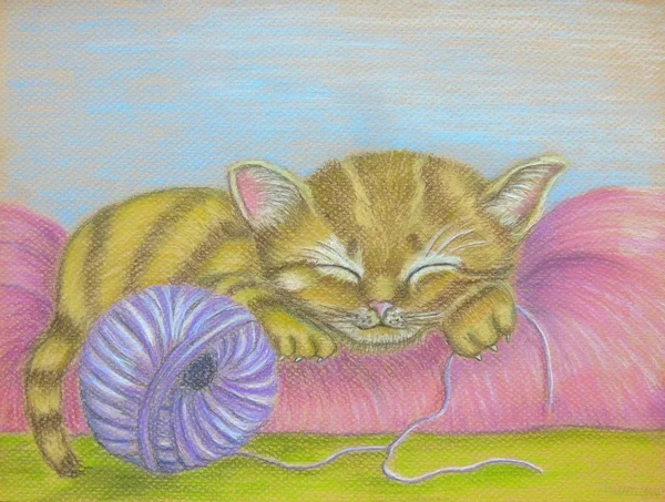 Uyuyan kedi yastık üzerinde
