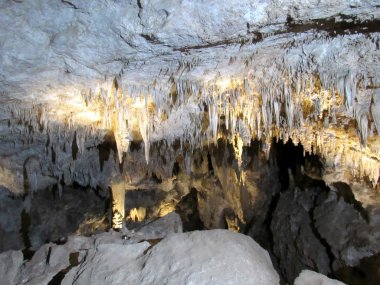 Ulusal Park Carlsbad at Bat Cave