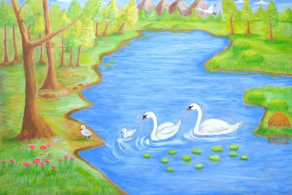 Swan'ın arazi