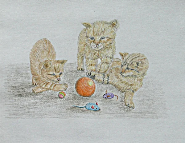 Kedi oyun süresi