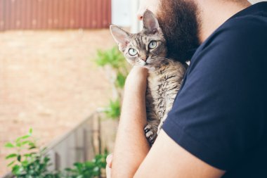 Bir sakallı bir adam ile onun güzel devon sarılma rex kedi